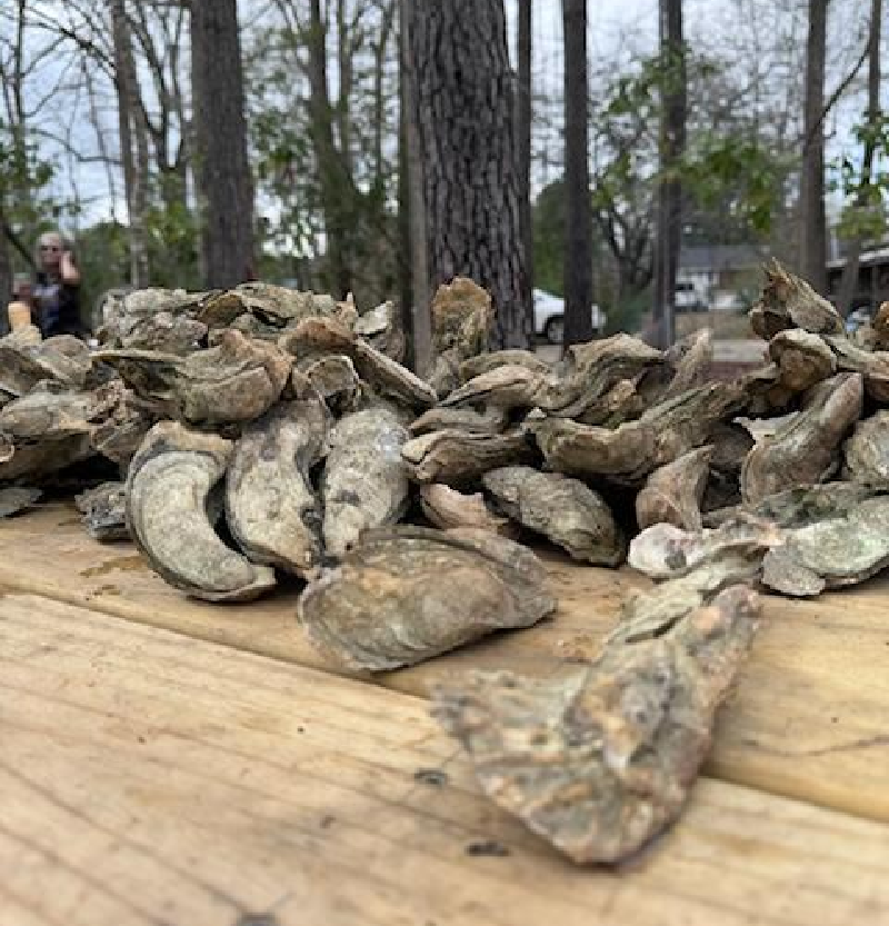 wooden table covered with a pile of dead clams and oyster shells